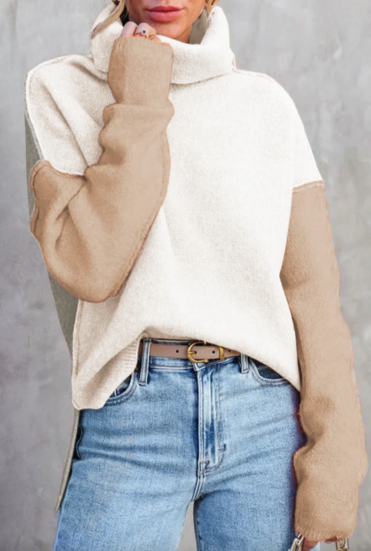 ColorBlock Turtle Neck